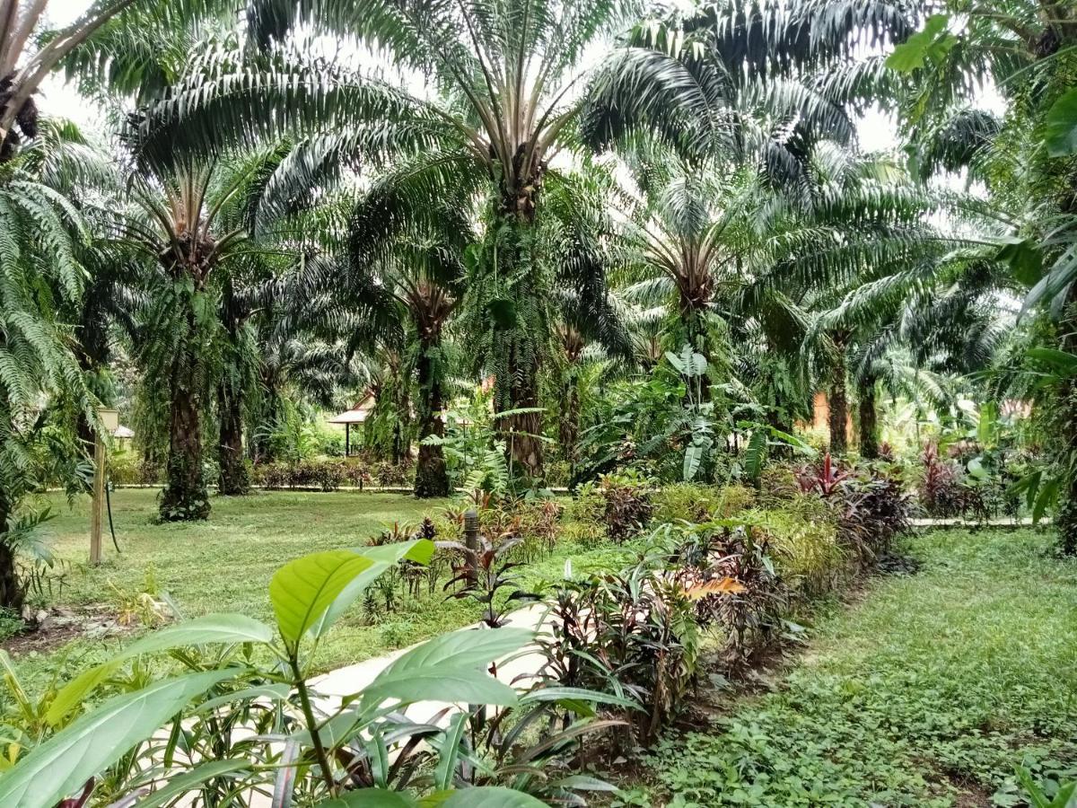 Khao Sok Palm Garden Resort Khao Sok National Park Exterior photo